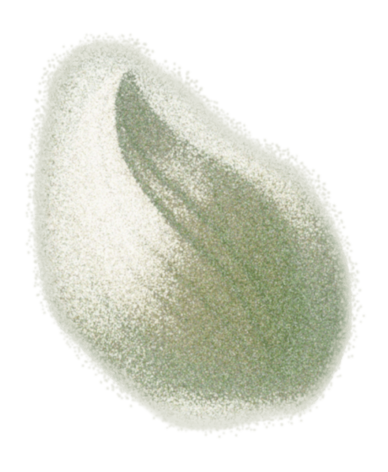 The Benevolent Universe Timeline Jump