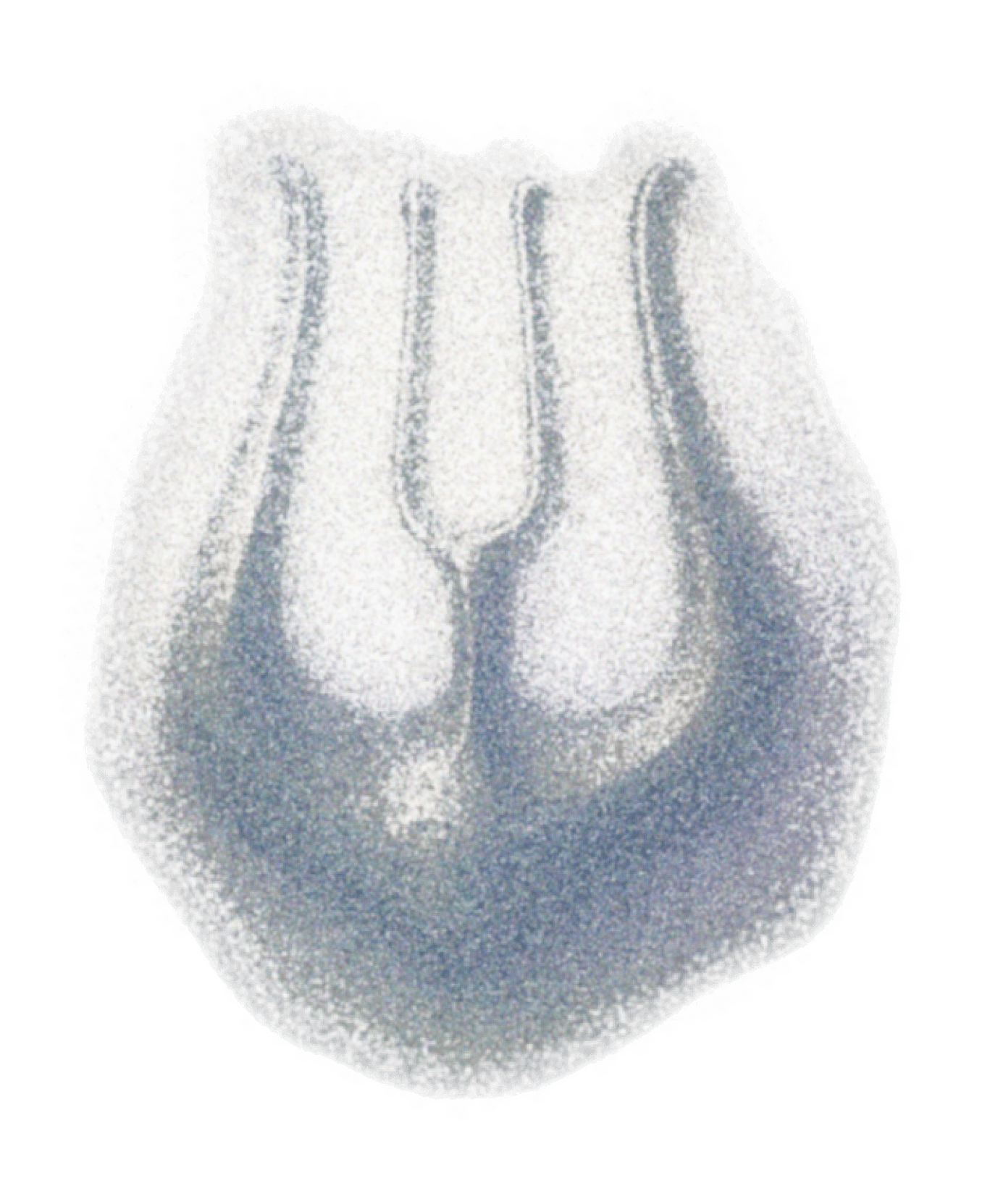 Transformation + Tension Tool