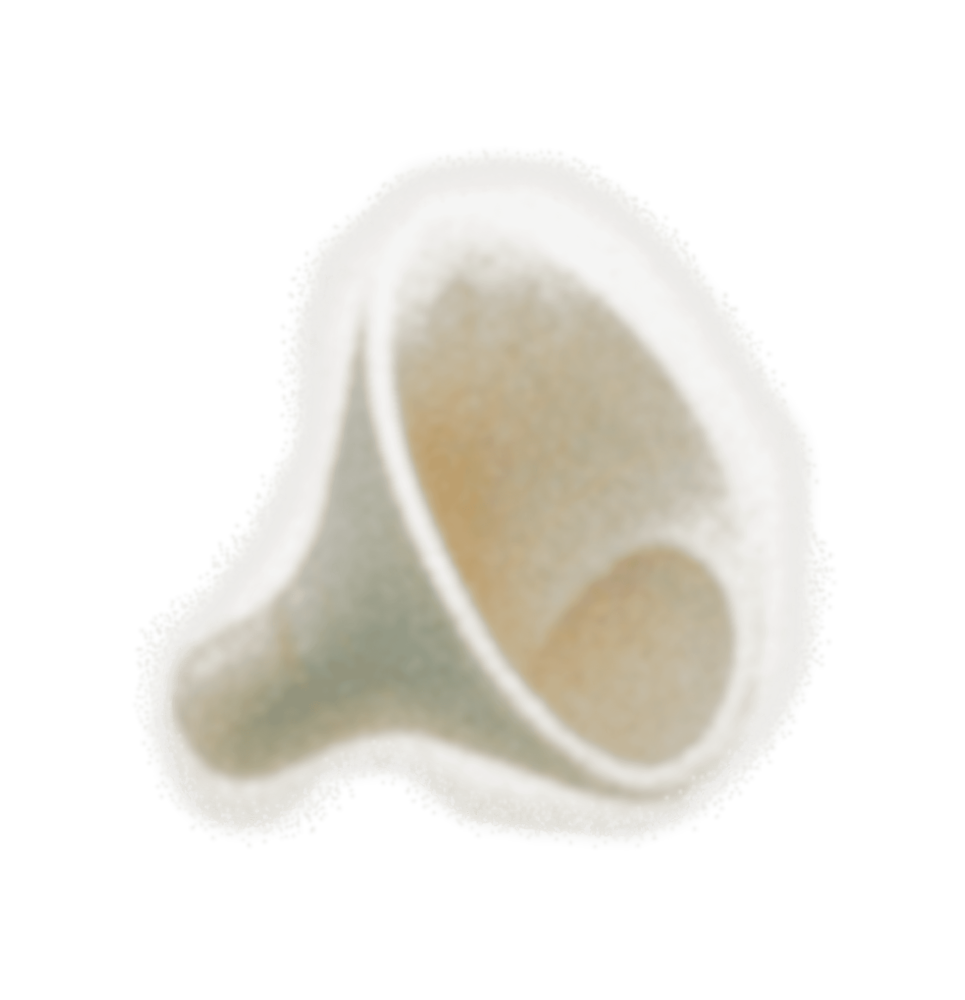 The Celebration Thread