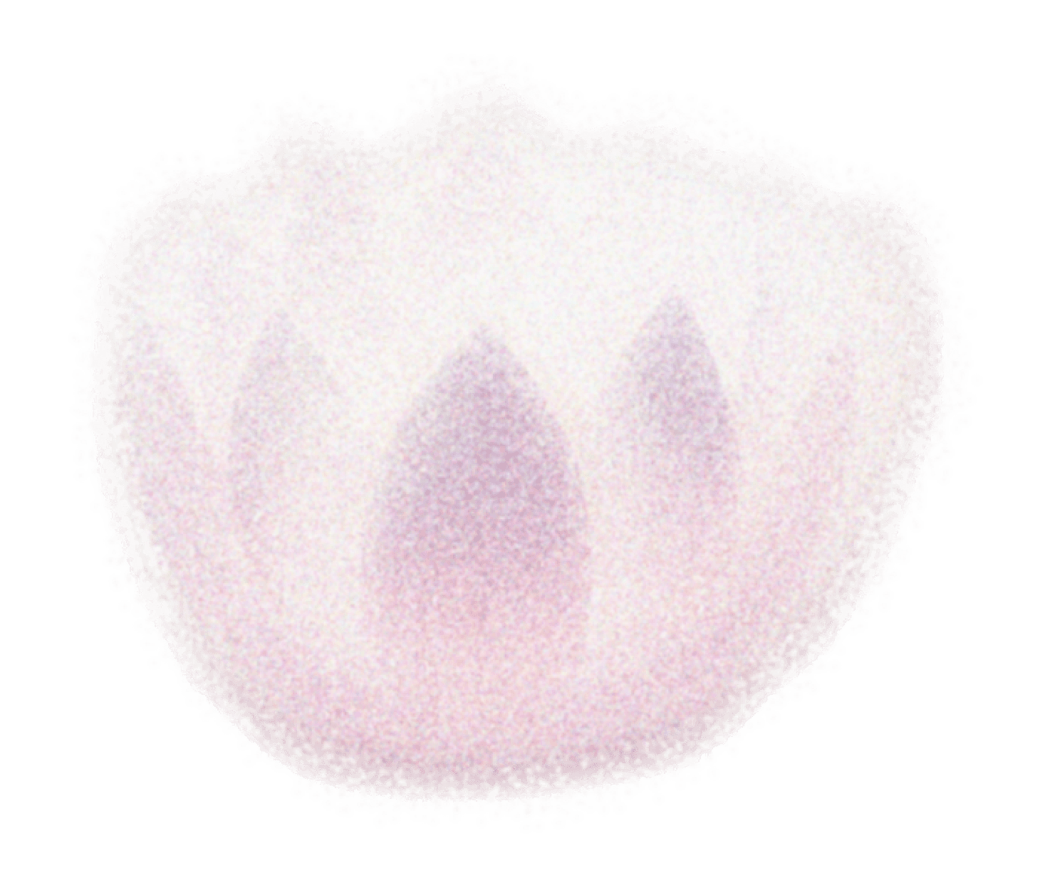 The Shame to Power Transmutation Experience